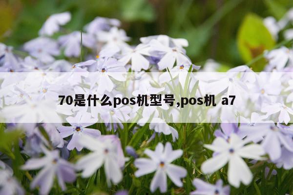 70是什么pos机型号,pos机 a7