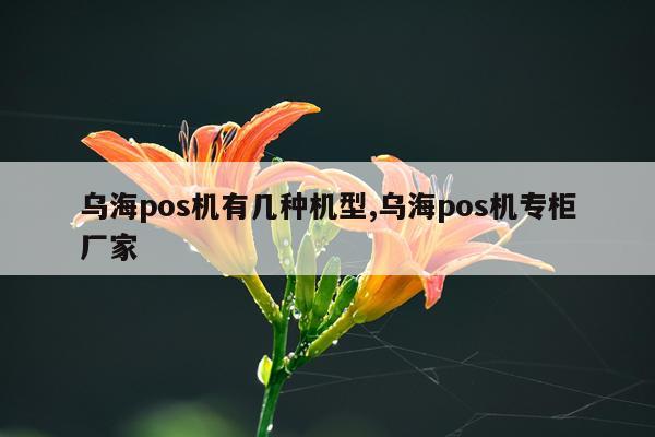 乌海pos机有几种机型,乌海pos机专柜厂家