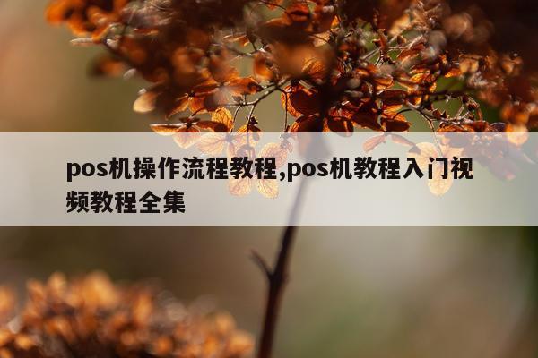 pos机操作流程教程,pos机教程入门视频教程全集