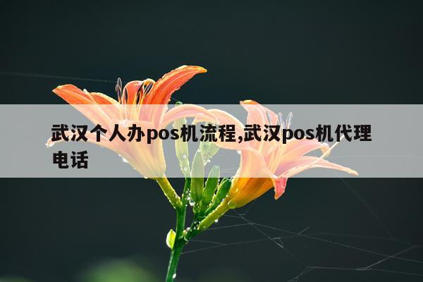 武汉个人办pos机流程,武汉pos机代理电话