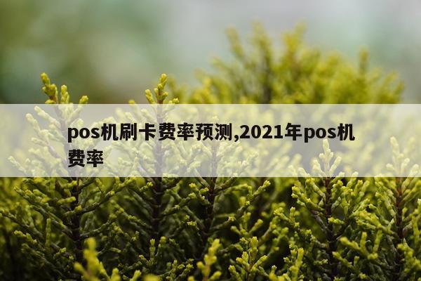 pos机刷卡费率预测,2021年pos机费率
