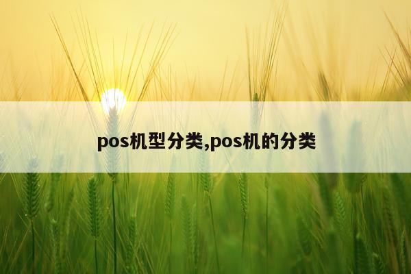 pos机型分类,pos机的分类