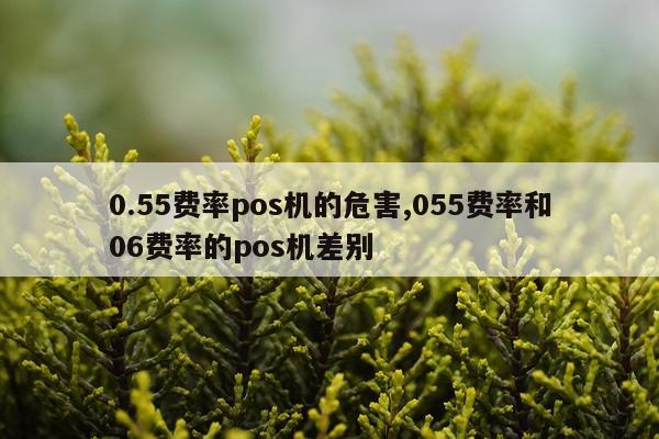 0.55费率pos机的危害,055费率和06费率的pos机差别