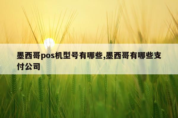 墨西哥pos机型号有哪些,墨西哥有哪些支付公司
