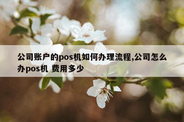 公司账户的pos机如何办理流程,公司怎么办pos机 费用多少