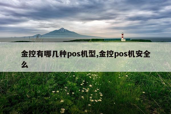 金控有哪几种pos机型,金控pos机安全么