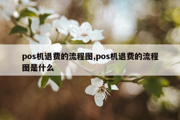 pos机退费的流程图,pos机退费的流程图是什么