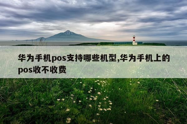 华为手机pos支持哪些机型,华为手机上的pos收不收费