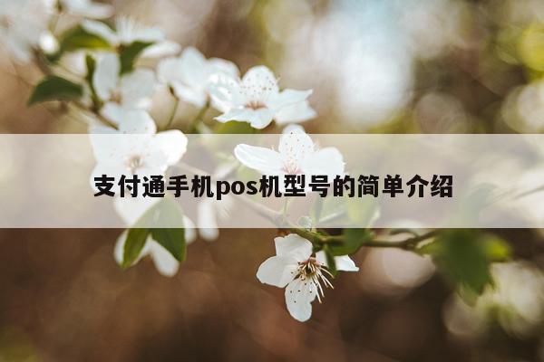 支付通手机pos机型号的简单介绍