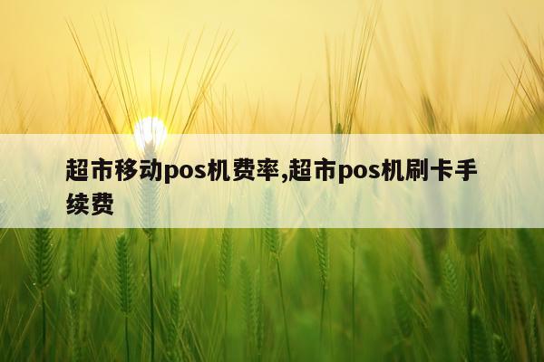 超市移动pos机费率,超市pos机刷卡手续费