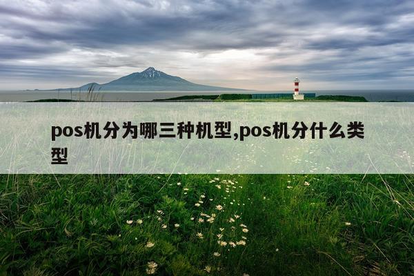 pos机分为哪三种机型,pos机分什么类型