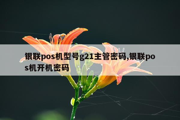 银联pos机型号g21主管密码,银联pos机开机密码