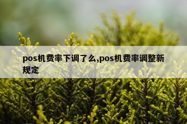 pos机费率下调了么,pos机费率调整新规定
