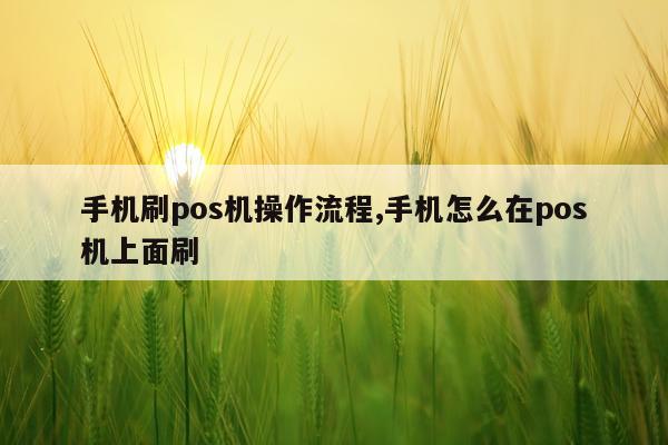 手机刷pos机操作流程,手机怎么在pos机上面刷
