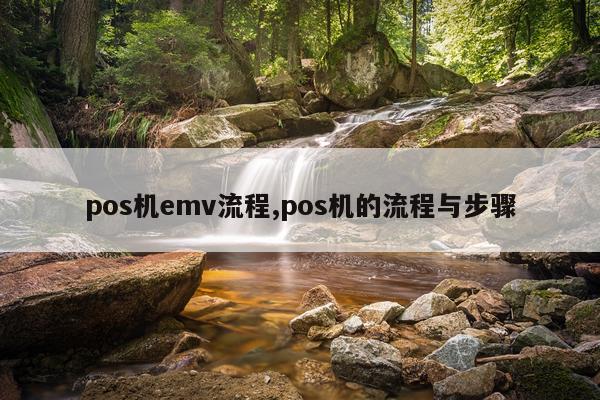 pos机emv流程,pos机的流程与步骤