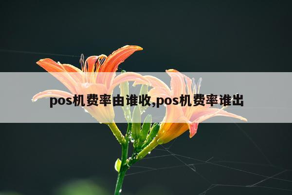 pos机费率由谁收,pos机费率谁出