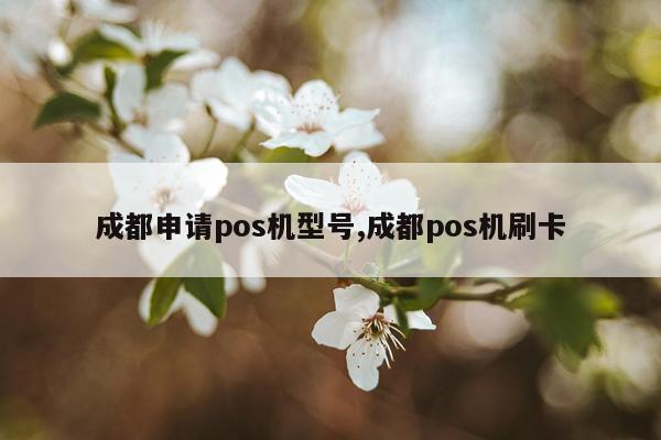 成都申请pos机型号,成都pos机刷卡
