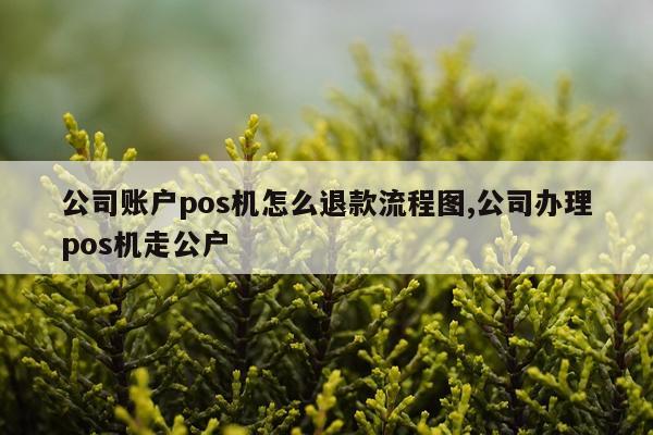 公司账户pos机怎么退款流程图,公司办理pos机走公户