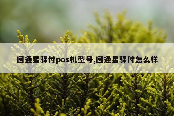 国通星驿付pos机型号,国通星驿付怎么样