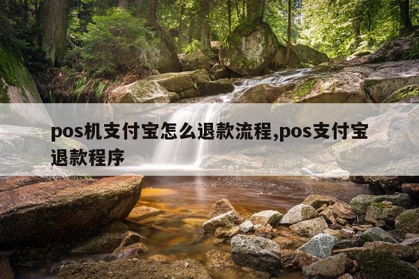 pos机支付宝怎么退款流程,pos支付宝退款程序