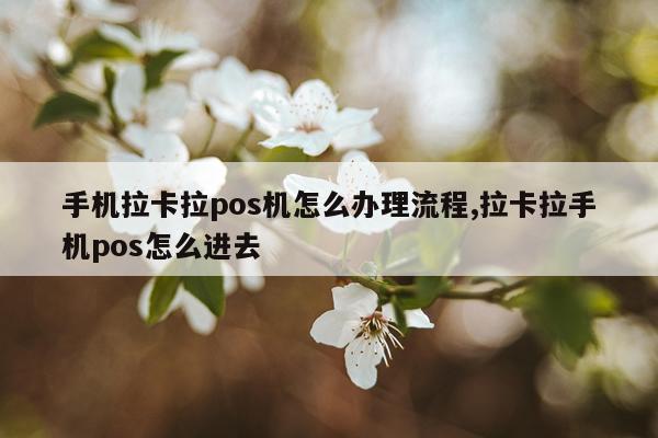 手机拉卡拉pos机怎么办理流程,拉卡拉手机pos怎么进去