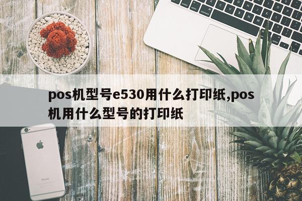 pos机型号e530用什么打印纸,pos机用什么型号的打印纸