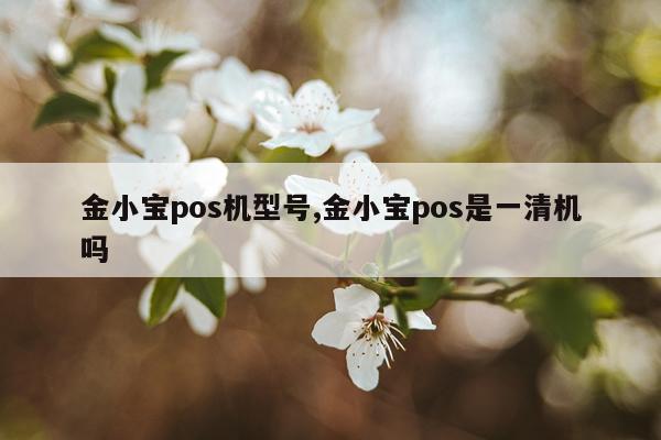 金小宝pos机型号,金小宝pos是一清机吗