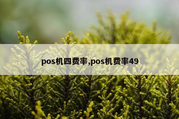 pos机四费率,pos机费率49