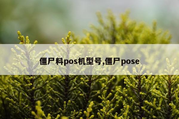僵尸料pos机型号,僵尸pose