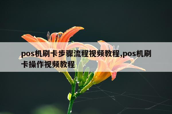 pos机刷卡步骤流程视频教程,pos机刷卡操作视频教程