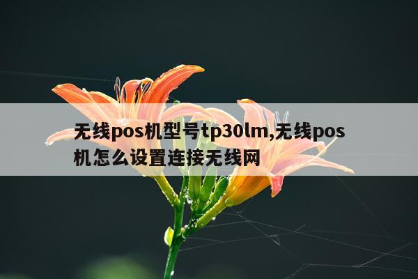 无线pos机型号tp30lm,无线pos机怎么设置连接无线网