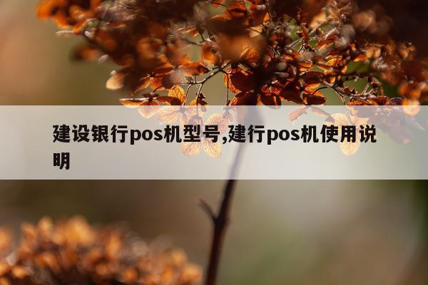 建设银行pos机型号,建行pos机使用说明