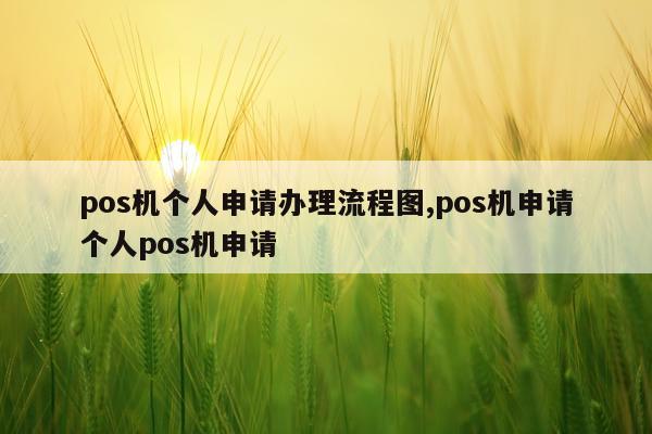 pos机个人申请办理流程图,pos机申请个人pos机申请