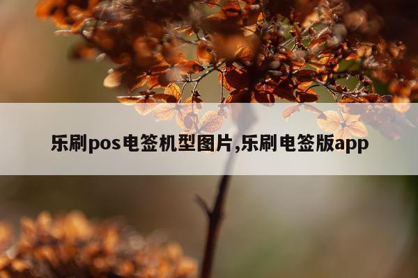 乐刷pos电签机型图片,乐刷电签版app