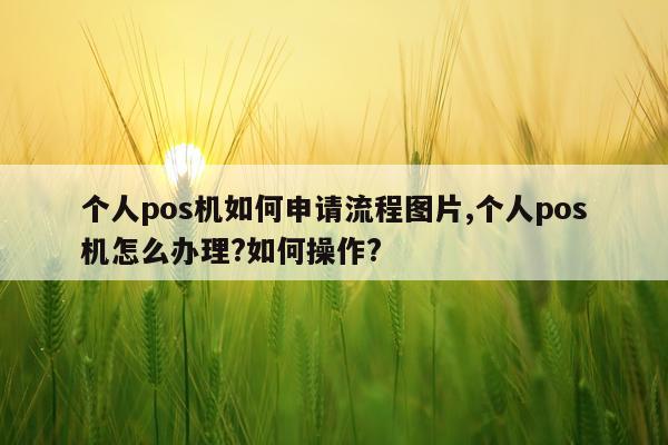 个人pos机如何申请流程图片,个人pos机怎么办理?如何操作?