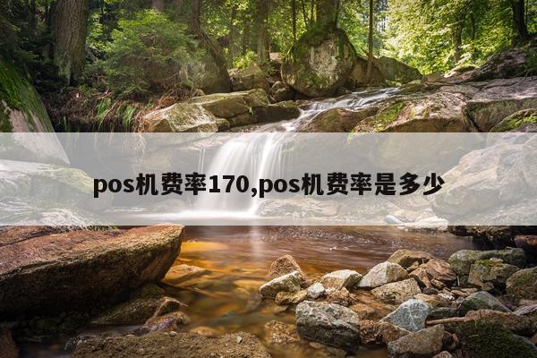 pos机费率170,pos机费率是多少