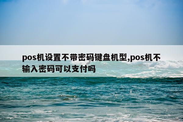 pos机设置不带密码键盘机型,pos机不输入密码可以支付吗