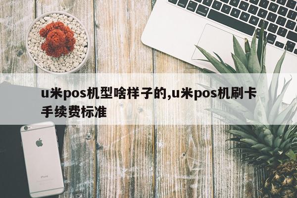 u米pos机型啥样子的,u米pos机刷卡手续费标准