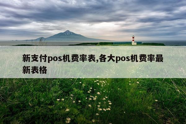 新支付pos机费率表,各大pos机费率最新表格