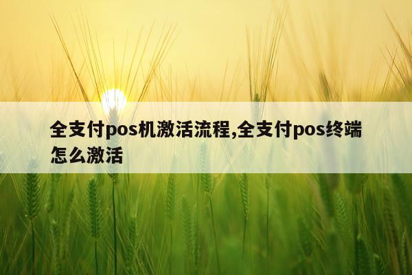 全支付pos机激活流程,全支付pos终端怎么激活