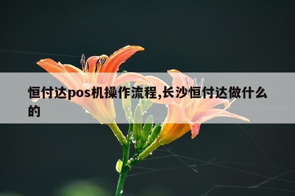恒付达pos机操作流程,长沙恒付达做什么的