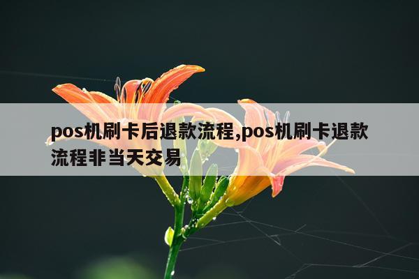 pos机刷卡后退款流程,pos机刷卡退款流程非当天交易