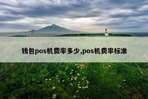 钱包pos机费率多少,pos机费率标准
