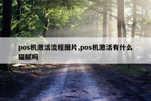 pos机激活流程图片,pos机激活有什么猫腻吗