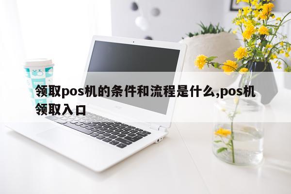 领取pos机的条件和流程是什么,pos机领取入口