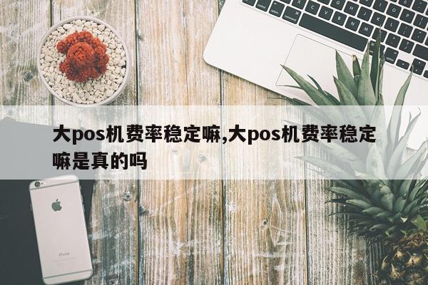 大pos机费率稳定嘛,大pos机费率稳定嘛是真的吗