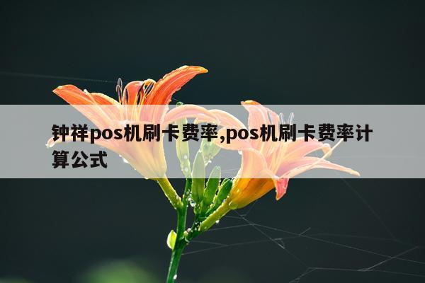 钟祥pos机刷卡费率,pos机刷卡费率计算公式