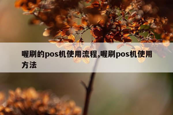 喔刷的pos机使用流程,喔刷pos机使用方法