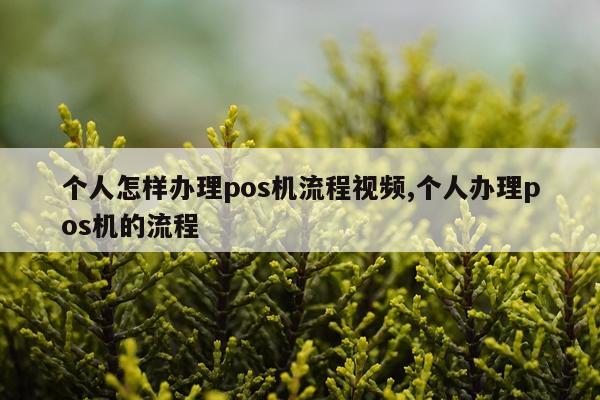 个人怎样办理pos机流程视频,个人办理pos机的流程