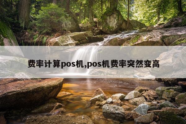 费率计算pos机,pos机费率突然变高